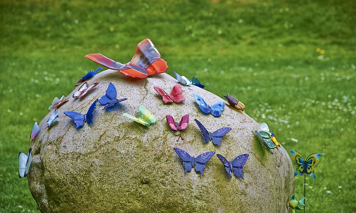 Vlinderrots